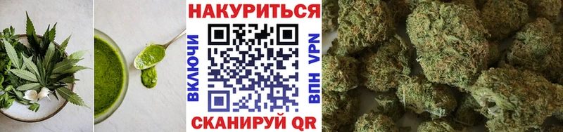 Cannafood марихуана  Купить закладки  Камышлов 