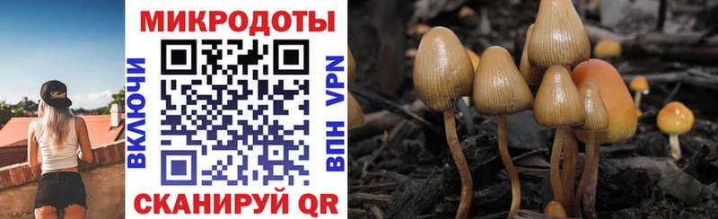 Галлюциногенные грибы мухоморы  Купить закладки  Камышлов 